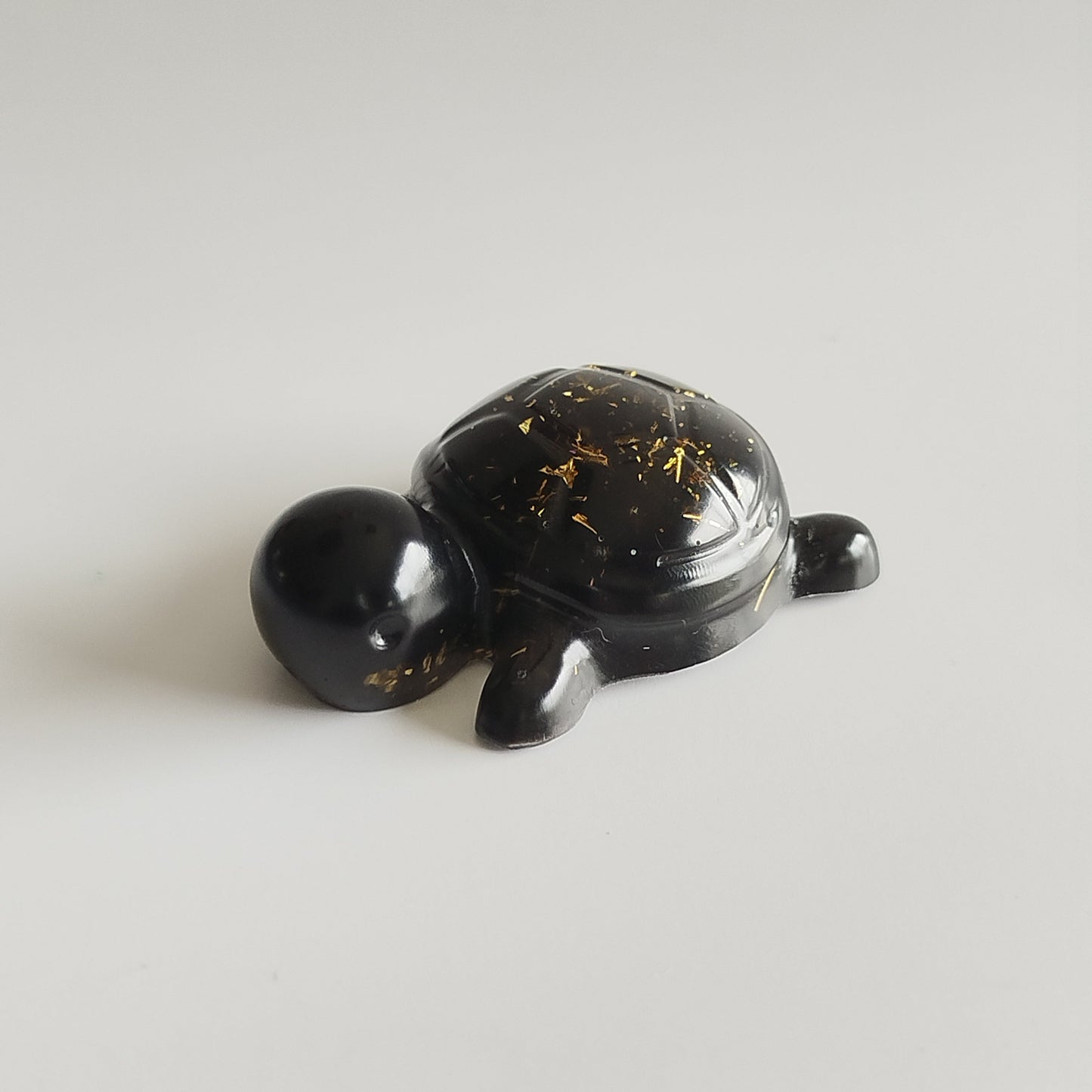 Petite Tortue