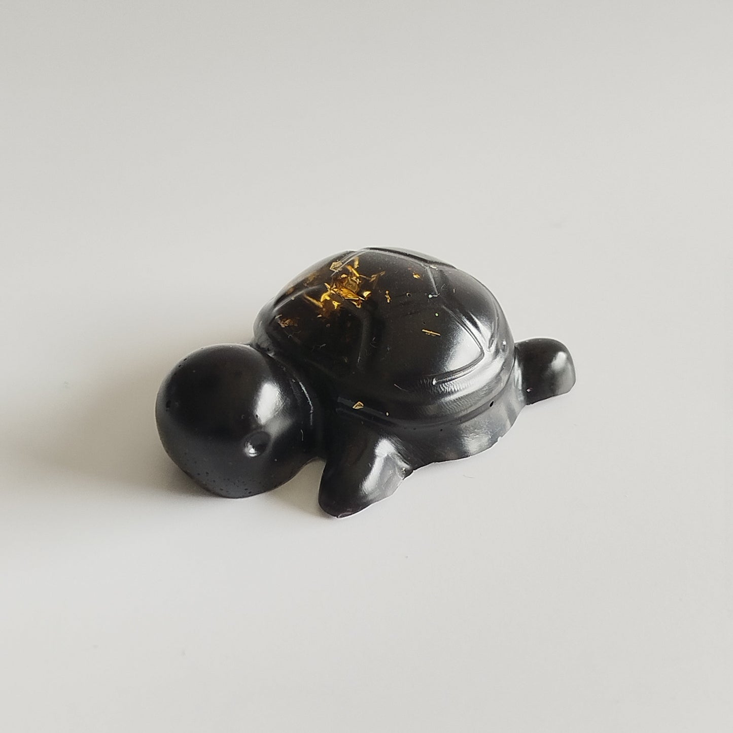 Petite Tortue