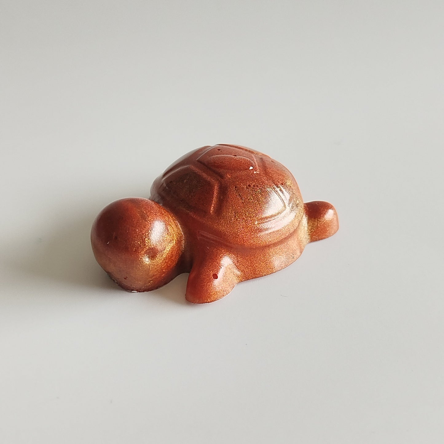 Petite Tortue