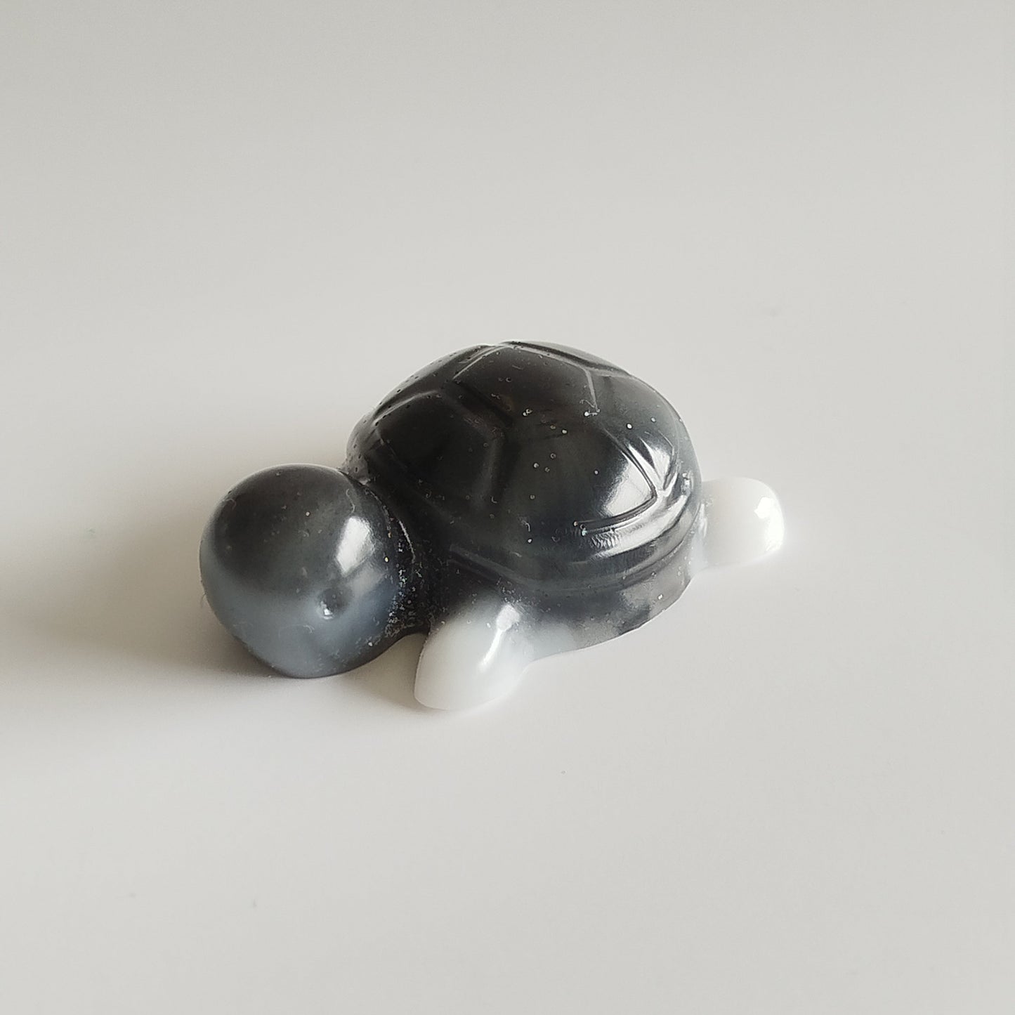 Petite Tortue