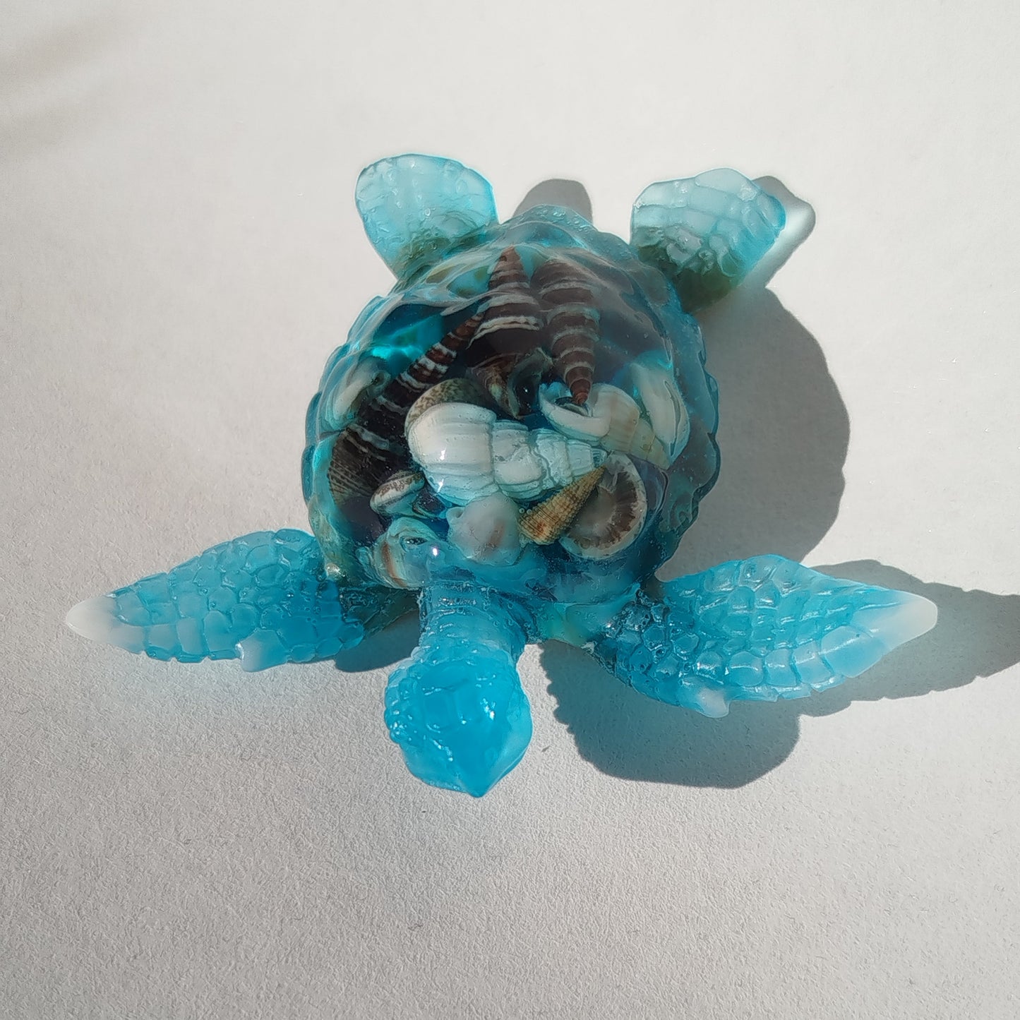 Tortue de mer