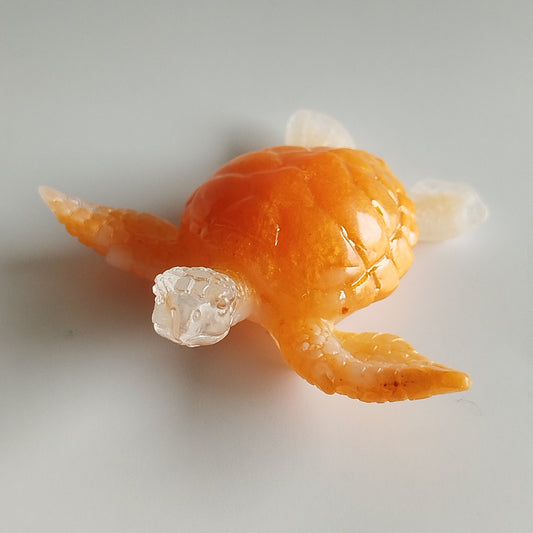 Tortue de mer
