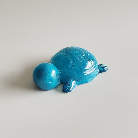 Petite Tortue